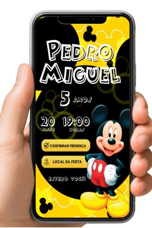 6 - Mickey 2-D